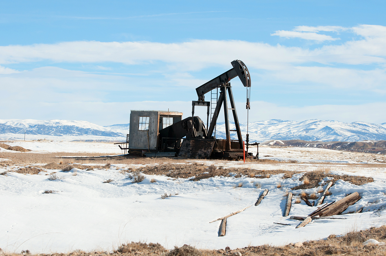 Area M gallery image 9