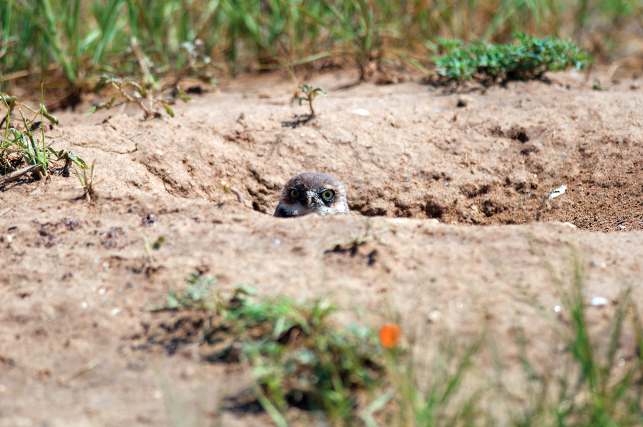 Area M gallery image 1