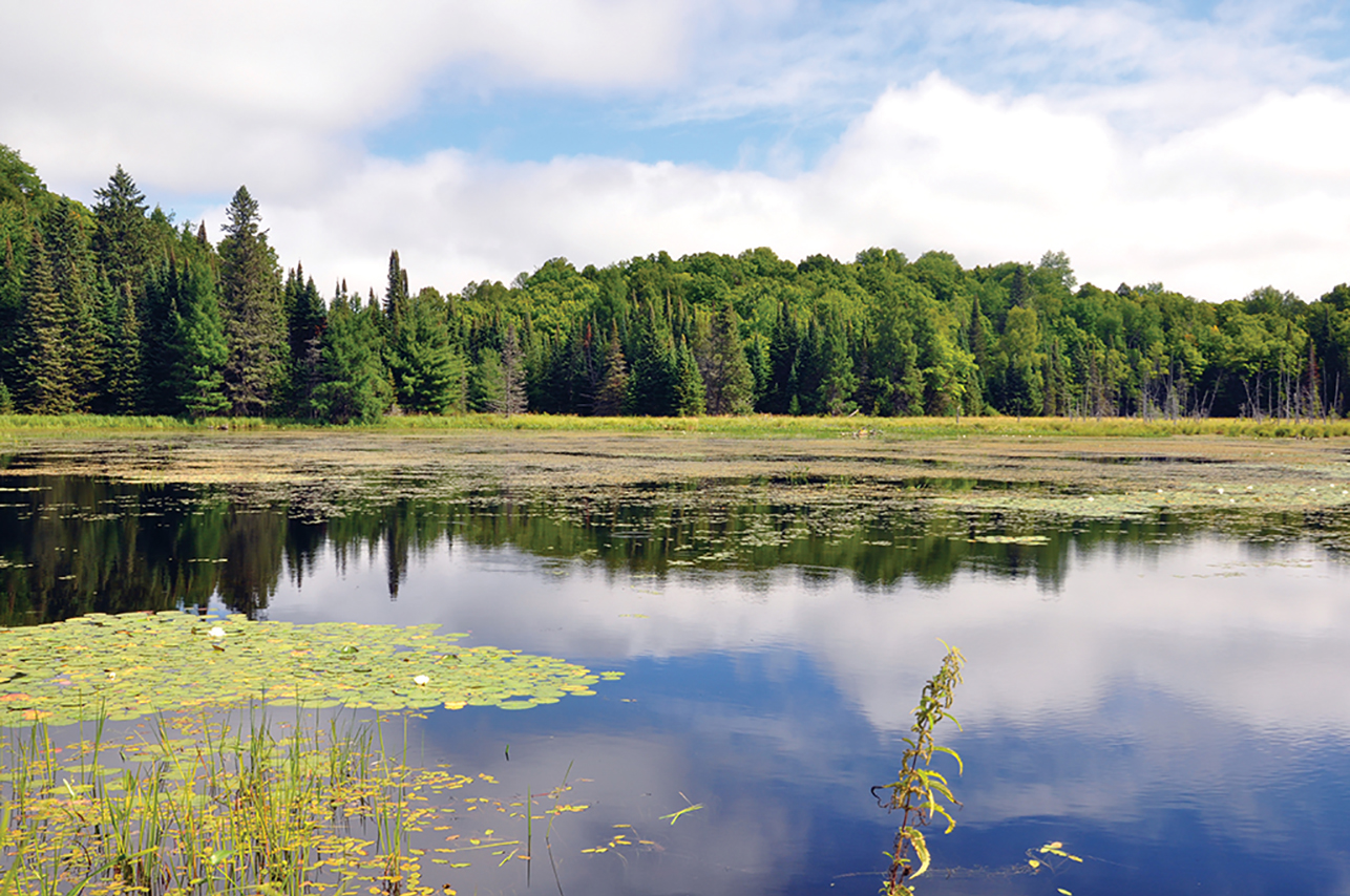 Area M gallery image 5