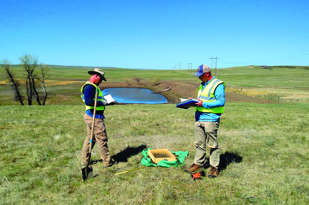 Area M gallery image 8